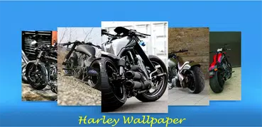Harley Wallpaper