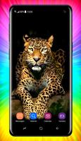 Cheetah Wallpapers スクリーンショット 3