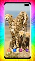 Cheetah Wallpapers スクリーンショット 1