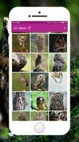 Owl Wallpaper captura de pantalla 3