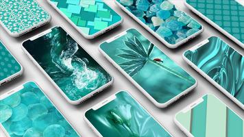 Teal Wallpapers Cartaz