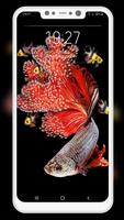 Betta Fish Wallpapers capture d'écran 3