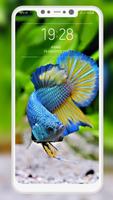 Betta Fish Wallpapers Screenshot 1