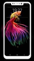 Betta Fish Wallpapers Screenshot 2