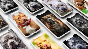 Pitbull Wallpaper plakat