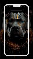 Pitbull Wallpaper screenshot 2