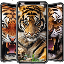 Tigers Wallpaper APK
