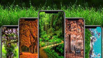 Nature Wallpaper ポスター