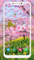 Nature Wallpaper スクリーンショット 1