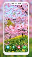 Nature Wallpaper 스크린샷 1