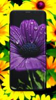 4K Flower Wallpaper imagem de tela 3