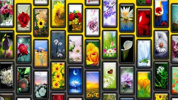 4K Flower Wallpaper poster