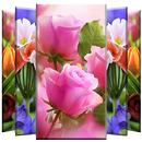 Flower Wallpaper APK