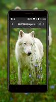 Wolf Wallpapers ảnh chụp màn hình 2