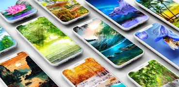 Nature Wallpaper