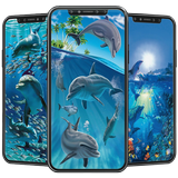 Dolphin Wallpaper biểu tượng