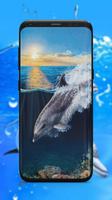 Dolphin Wallpaper اسکرین شاٹ 3