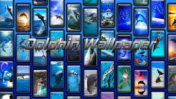 Dolphin Wallpaper poster