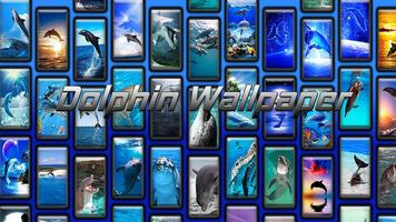 Dolphin Wallpaper 포스터