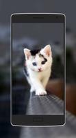 Cute Animal Wallpaper ảnh chụp màn hình 3