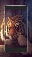Cute Animal Wallpaper الملصق