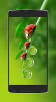 Cute Animal Wallpaper تصوير الشاشة 1