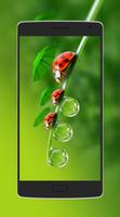 Funny Wallpapers Screenshot 1