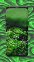 Green Wallpaper الملصق