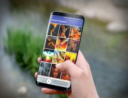 برنامه‌نما Phoenix Wallpaper عکس از صفحه