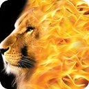 APK Fire Wallpaper