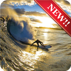 Surfing Wallpaper icône