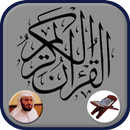 Saad Al Ghamidi Offline MP3 APK