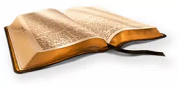 NIV Bible: With Study Tools