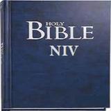 NIV Bible: With Study Tools icône