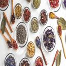 Herbs - Healing and Well-Being APK