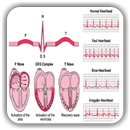 ECG / EKG Rhythm Step-by-Step  APK