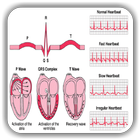ECG / EKG Rhythm Step-by-Step  biểu tượng