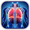 Chest X Ray - A Survival Guide