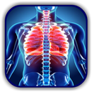 Chest X Ray - A Survival Guide APK