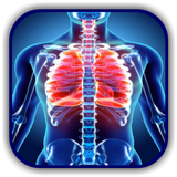 Chest X Ray - A Survival Guide biểu tượng