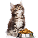 Easy Cat Recipes - Homemade Ca APK