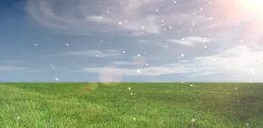 Littafin Halin Rayuwa - Mp3