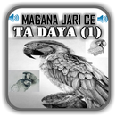 Magana Jari Ce Ta Daya (1) - A APK