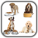 Dog Food Recipes - Homemade Do APK