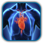 Cardiology Explained - Current biểu tượng