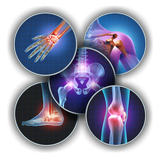 Orthopaedic - Techniques in Or biểu tượng