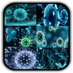 Virology - Principles & Applic