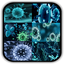 Virology - Principles & Applic APK