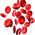 Haematology - Hematology &100+