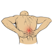 Back Pain Exercises 1
